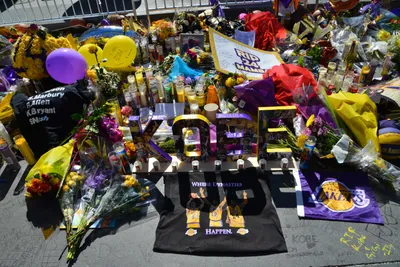 DSC_7127 (Large).JPG